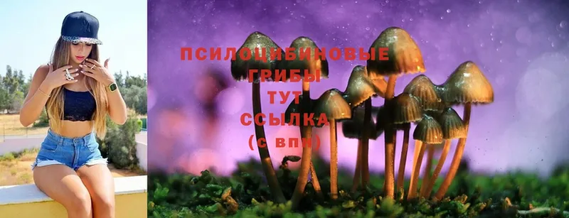 Галлюциногенные грибы MAGIC MUSHROOMS  Истра 